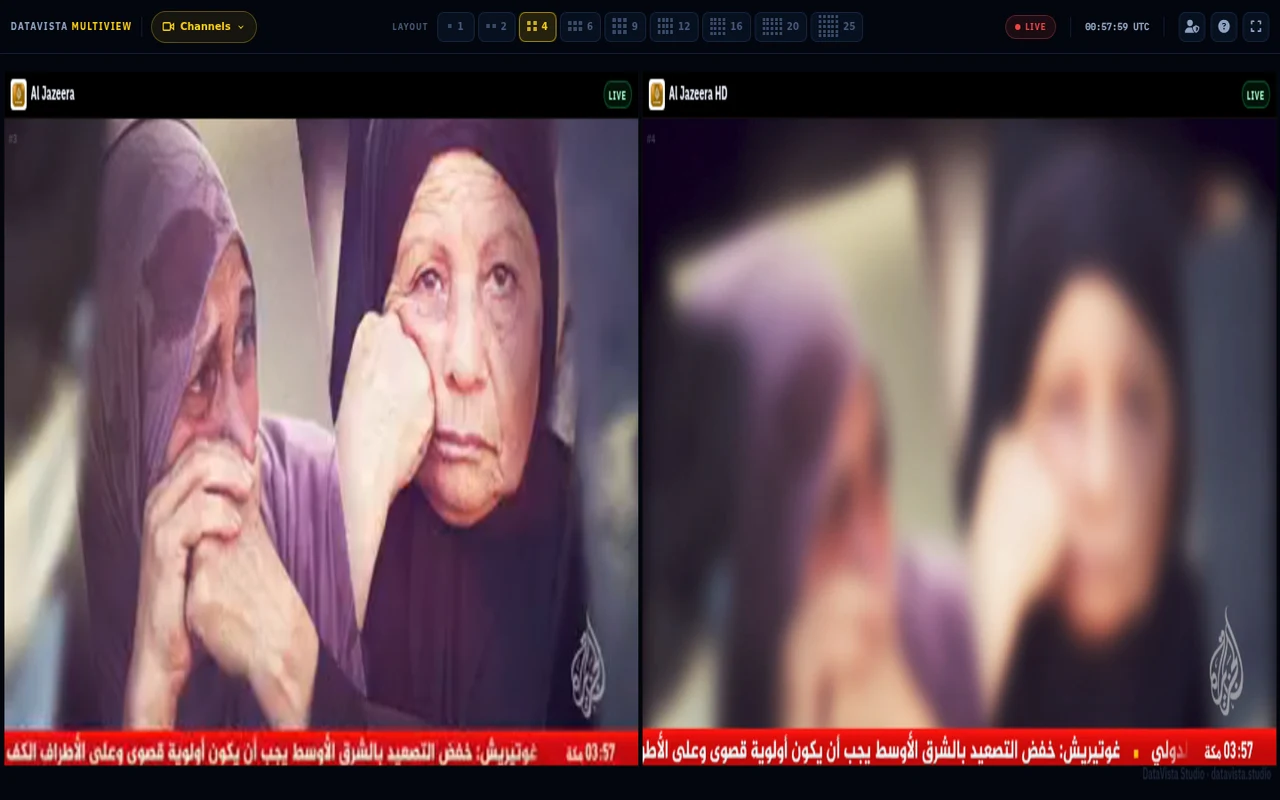 DataVista Live — Multiview Monitor